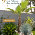 Un jardin avec plusieurs palmiers bien entretenus sous un ciel bleu