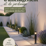 Un jardin fleuri avec des plantes qui n'exigent pas de désherbage constant