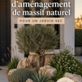 Aménagement d'un jardin sec avec un massif naturel fleuri