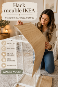Mobilier transformé avec des hacks IKEA unique dans un salon moderne