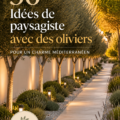 Jardin méditerranéen avec oliviers et éléments décoratifs