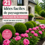 Jardin d'entrée fleuri et bien aménagé devant une maison.
