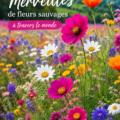 Un champ coloré de fleurs sauvages en pleine floraison