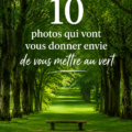 Une magnifique photo de paysage naturel, illustrant la beauté du vert.