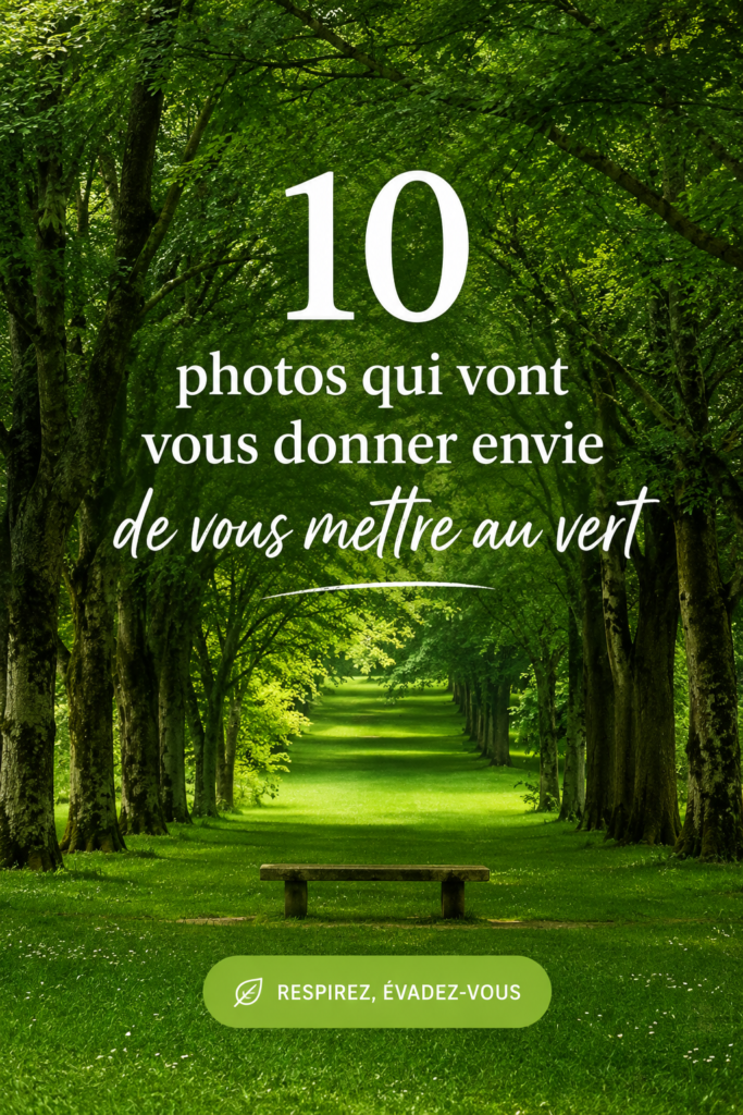 Une magnifique photo de paysage naturel, illustrant la beauté du vert.