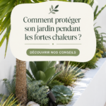 Jardin verdoyant avec des plantes en pleine floraison malgré la chaleur