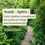 Jardin verdoyant transformé en refuge pour la biodiversité avec diverses plantes et abris pour la faune.