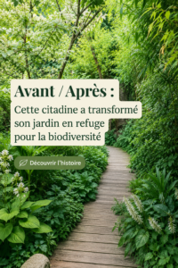 Jardin verdoyant transformé en refuge pour la biodiversité avec diverses plantes et abris pour la faune.