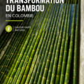 Illustration d'une construction moderne en bambou, symbole d'architecture durable.