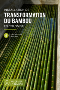 Illustration d'une construction moderne en bambou, symbole d'architecture durable.