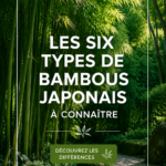 Un jardin avec différentes variétés de bambou japonais élégamment plantées.