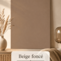 Intérieur moderne avec des murs beige foncé et des accessoires en bois.