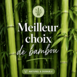 Choix de différentes variétés de bambou dans un espace chaleureux