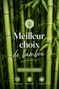 Choix de différentes variétés de bambou dans un espace chaleureux