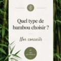 Un intérieur élégant avec des éléments en bambou décoratifs.