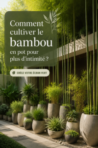 Bambou luxuriant en pot pour un jardin intime