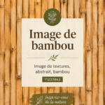 Intérieur chaleureux avec des meubles en bambou et des plantes vertes.
