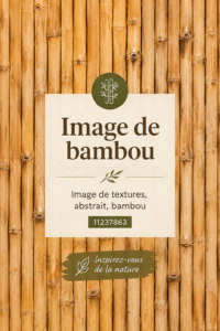 Intérieur chaleureux avec des meubles en bambou et des plantes vertes.