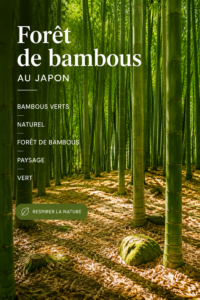 Forêt de bambous verdoyante au Japon