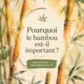 Bambou luxuriant dans un paysage naturel, symbole de durabilité.