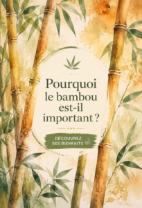 Bambou luxuriant dans un paysage naturel, symbole de durabilité.
