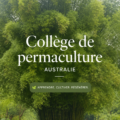 Un jardin luxuriant intégrant des techniques de permaculture