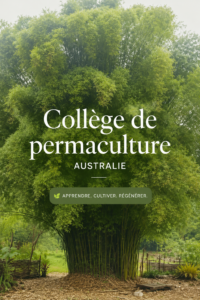 Un jardin luxuriant intégrant des techniques de permaculture