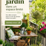 Un petit jardin bien aménagé avec des plantes variées et des accessoires de jardin.