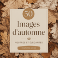 Fonds d'écran automnal avec des teintes neutres, mettant en valeur la beauté de la nature en automne.