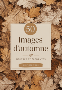 Fonds d'écran automnal avec des teintes neutres, mettant en valeur la beauté de la nature en automne.