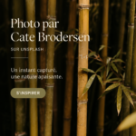 Un mur de salon décoré avec différentes photographies inspirantes
