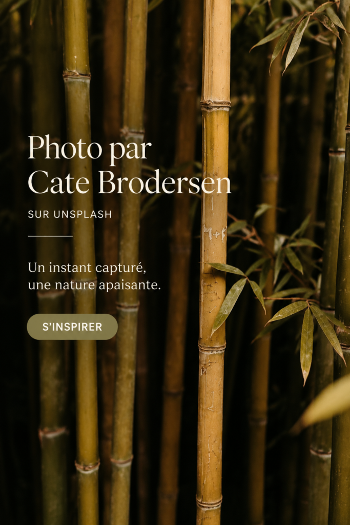Un mur de salon décoré avec différentes photographies inspirantes