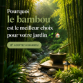 Un jardin avec du bambou offrant une ambiance paisible