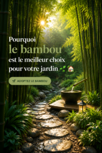 Un jardin avec du bambou offrant une ambiance paisible