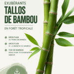 Tiges de bambou exubérantes dans un environnement tropical, apportant une touche de nature à la décoration.