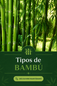 Variétés de bambou dans un jardin élégant