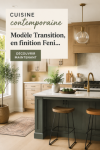 Cuisine modèle Transition avec des finitions modernes et élégantes