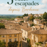Escapade autour de Bordeaux, vue sur les paysages viticoles