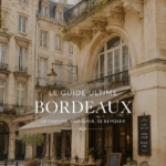 Vue panoramique de Bordeaux avec ses monuments emblématiques et ses quais