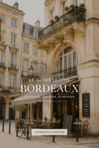 Vue panoramique de Bordeaux avec ses monuments emblématiques et ses quais