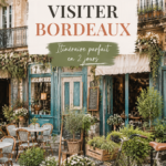 Une vue panoramique de Bordeaux, symbole de sa richesse architecturale et culturelle.