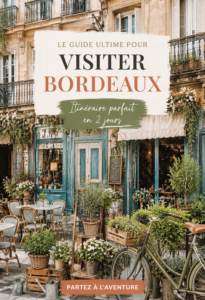 Une vue panoramique de Bordeaux, symbole de sa richesse architecturale et culturelle.