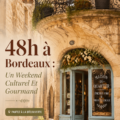 Bordeaux : un panorama de la ville avec ses bâtiments historiques et le miroir d'eau
