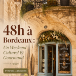 Bordeaux : un panorama de la ville avec ses bâtiments historiques et le miroir d'eau