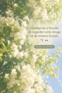 Salon décoré avec des couleurs apaisantes