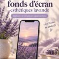 Un fond d'écran lavande apaisant sur un téléphone, créant une ambiance relaxante.