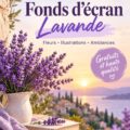 Fonds d'écran lavande doux et apaisant pour une décoration intérieure moderne.