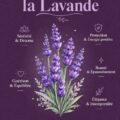 Un champ de lavande en fleurs, symbolisant la sérénité et la beauté naturelle.