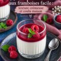 Panna cotta aux framboises garnie de coulis frais sur une assiette élégante.