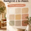 Nuancier de badigeon à la chaux avec plusieurs teintes naturelles